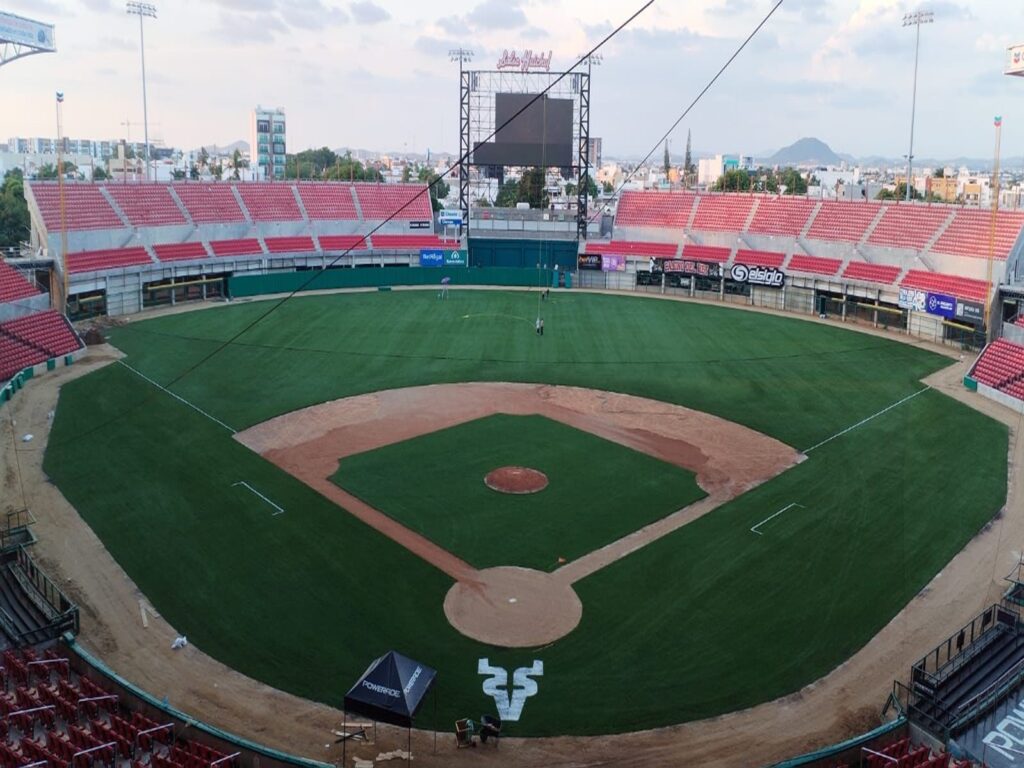 WhatsApp Image 2025-04-15 at 5.41.39 PM (1)